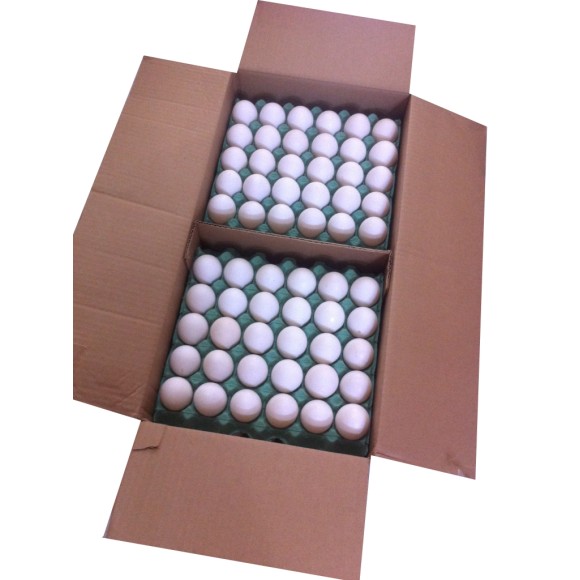 Ovo Extra Branco Caixa com 360 Unidades - OVOS DI CASA - Ovos fresquinhos e  selecionados