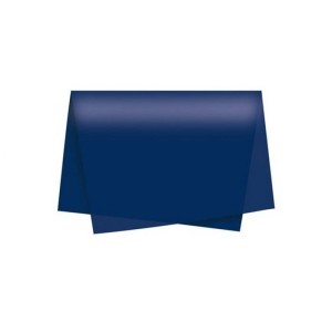 PAPEL DE SEDA CORES COM 100 UNIDADES